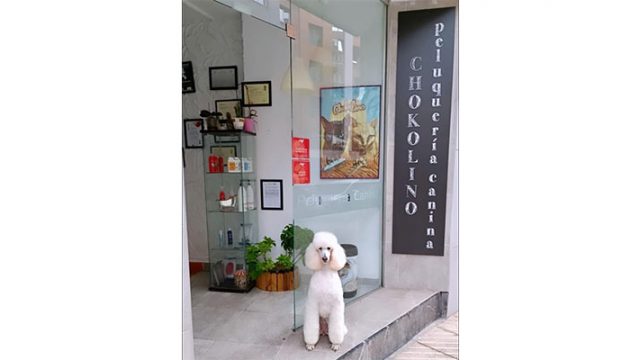 Chokolino-Foto-entrada