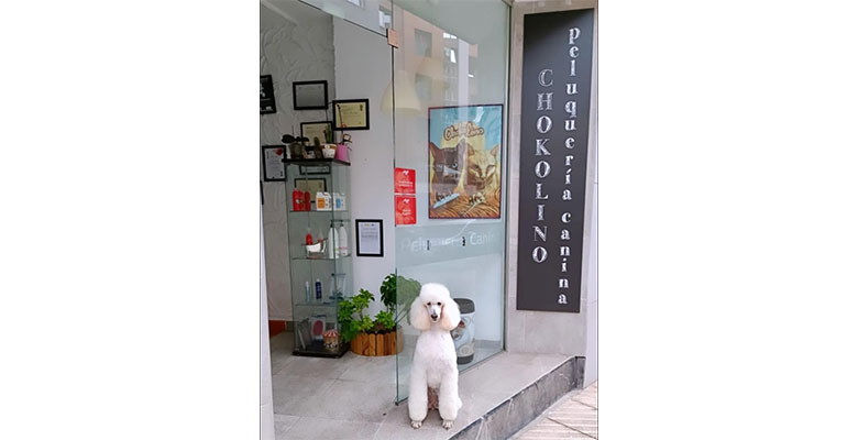 Chokolino-Foto-entrada