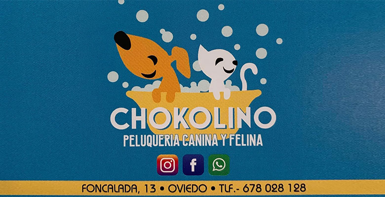 Chokolino-Logo