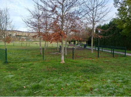 Plaza Tuero Bertran-3