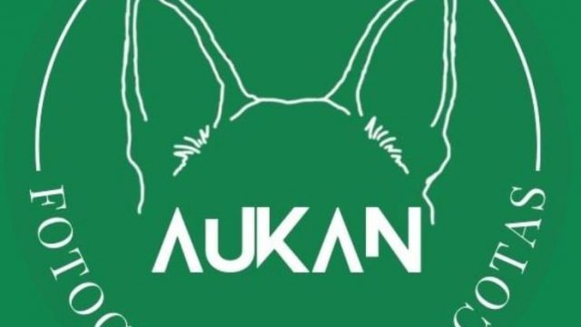 Aukan